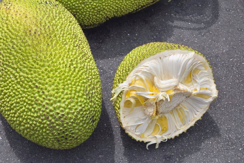Jackfruit zielony krojony (pulled) w zalewie 540g Twin Elephants