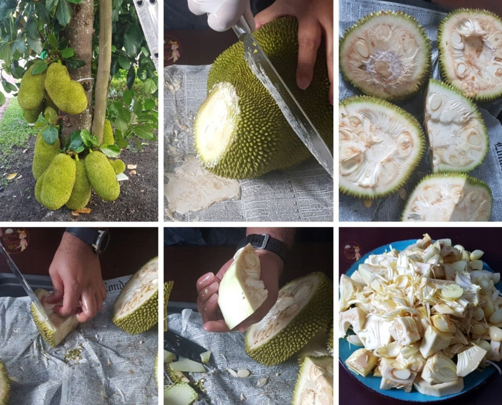 Jackfruit zielony krojony (pulled) w zalewie 540g Twin Elephants